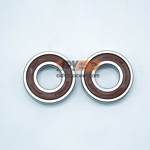 Bi-6002-NSK-(2)