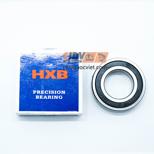 Bi-7005-P5-HXB-(2)
