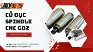 Củ Đục GDZ ẢNh thumnail